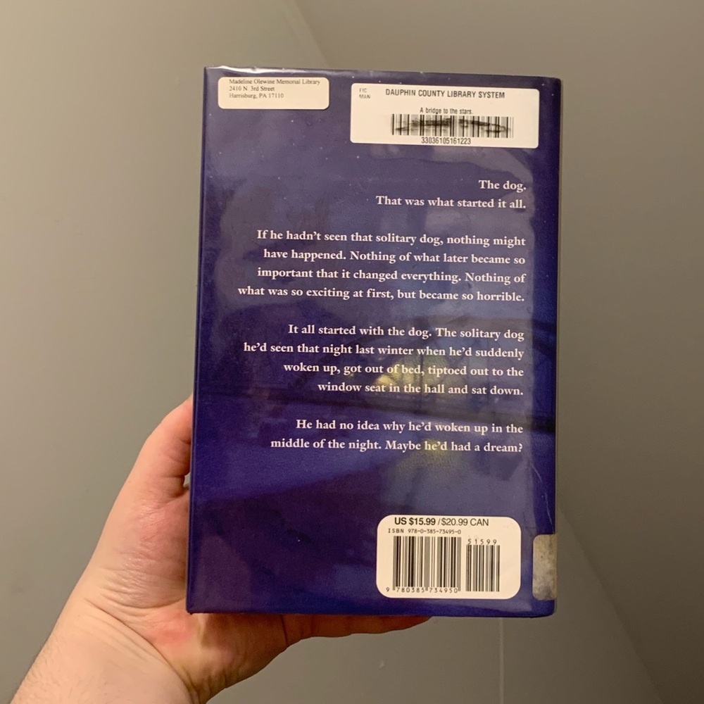 A Bridge To The Stars - Henning Mankell - Picture 2 of 3